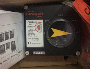 (gu)Flowserve